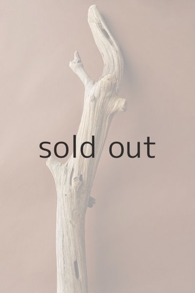 画像5: 大型 幹 (5)