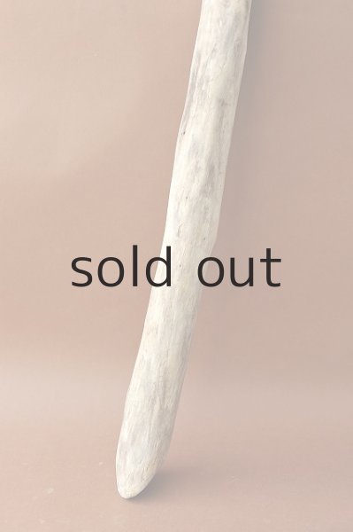 画像2: 幹流木 (2)