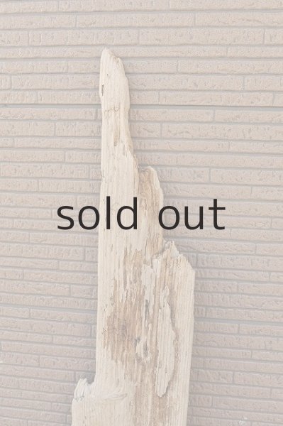 画像3: 大型 板 (3)