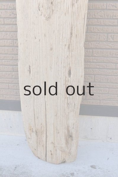 画像2: 大型 板 (2)