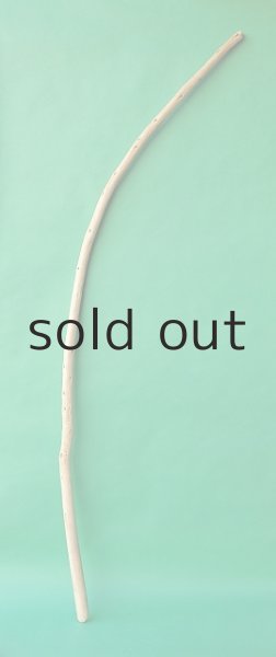 画像1: 棒流木 (1)