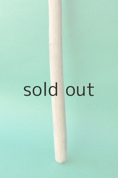 画像2: 棒流木 (2)