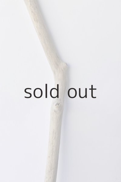 画像3: 幹流木 (3)