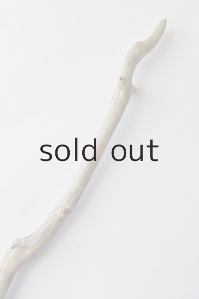 画像5: 幹流木 (5)