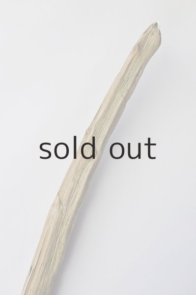 画像5: 幹流木 (5)