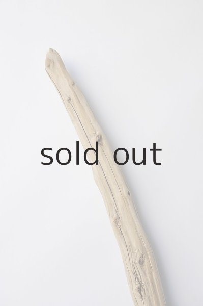 画像4: 幹流木 (4)