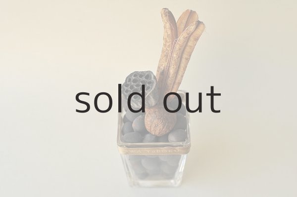 画像2: Dry plants for decor ミックスミニオブジェ (2)