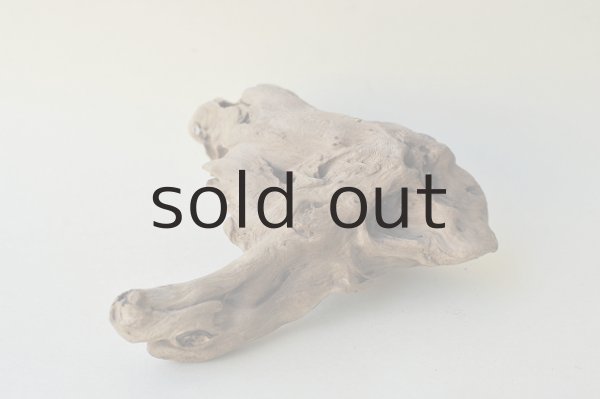 画像4: 変形流木 (4)