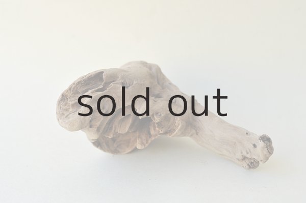 画像2: 変形流木 (2)