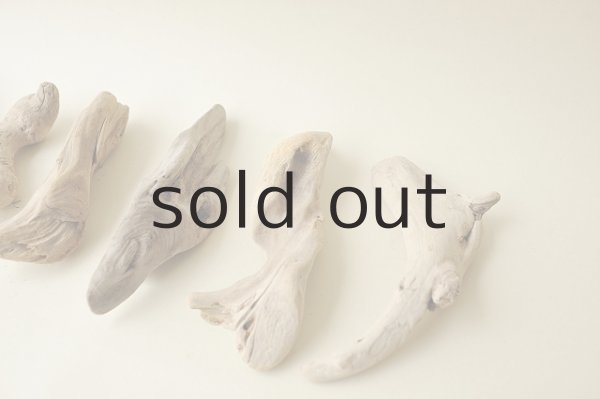 画像4: 変形流木セット (4)