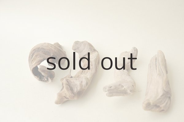 画像2: 変形流木セット (2)