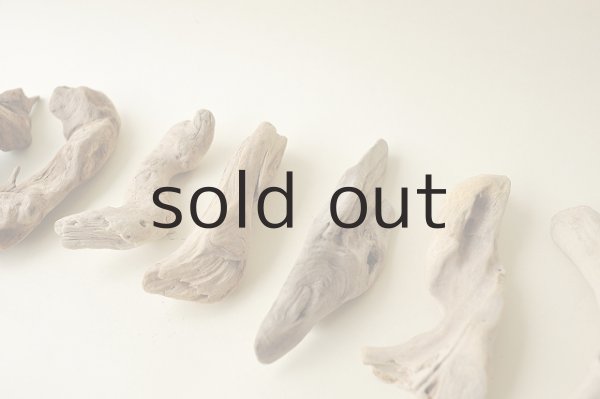 画像3: 変形流木セット (3)