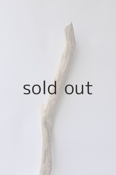 画像4: 幹流木 (4)