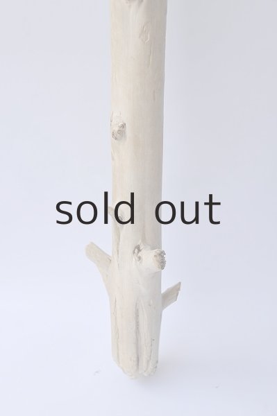 画像2: 幹流木 (2)