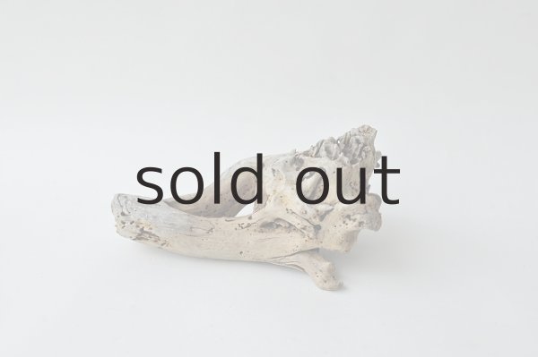 画像3: ミニ流木根 (3)