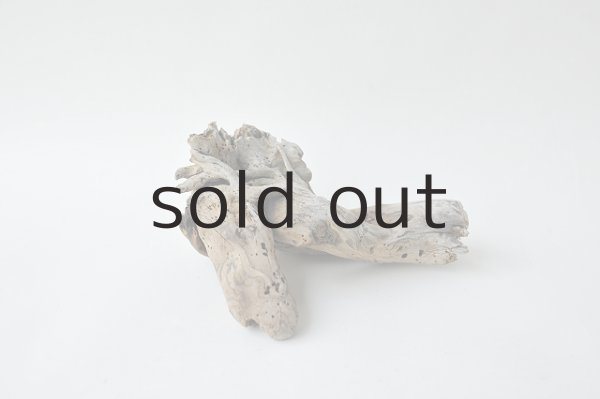 画像2: ミニ流木根 (2)