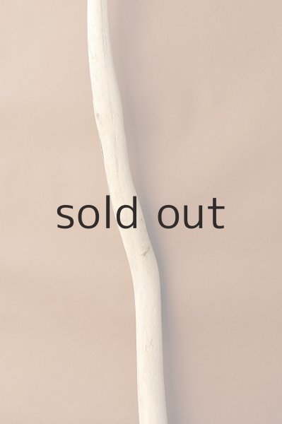 画像3: 幹流木 (3)