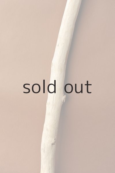 画像3: 幹流木 (3)