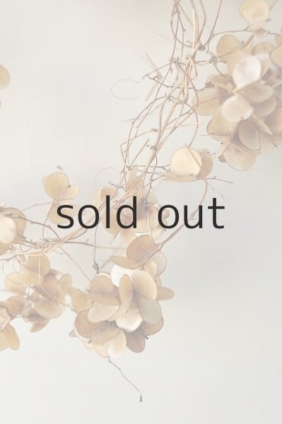 画像4: Dry plants for decor ゴールドリーフリース (4)