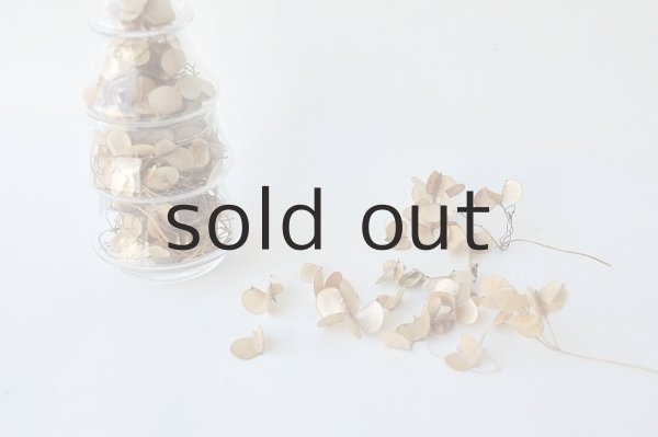 画像5: Dry plants for decor ゴールドリーフリース (5)