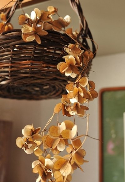 画像3: Dry plants for decor ゴールドリーフリース