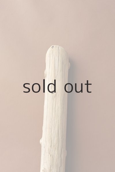 画像4: 幹流木（丸太） (4)