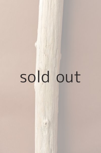 画像3: 幹流木（丸太） (3)