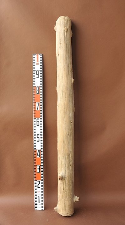 画像3: 幹流木（丸太）