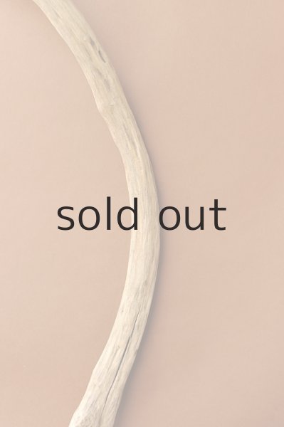 画像3: 幹流木 (3)