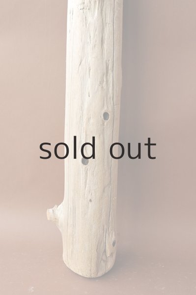 画像2: 幹流木（丸太） (2)