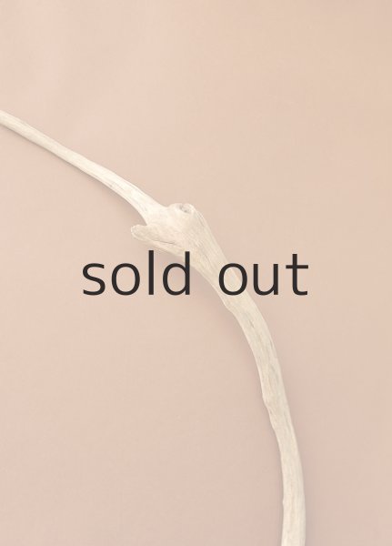 画像4: 幹流木 (4)