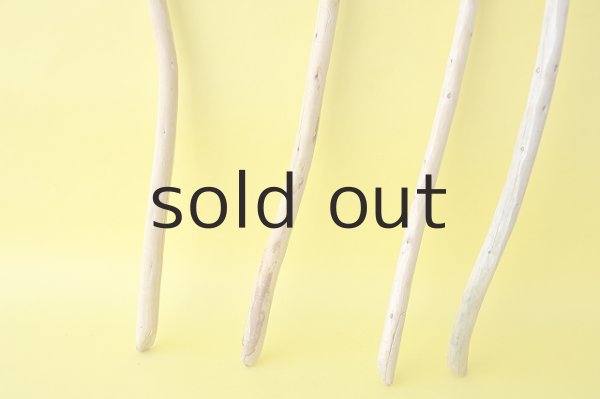 画像2: 棒流木セット (2)