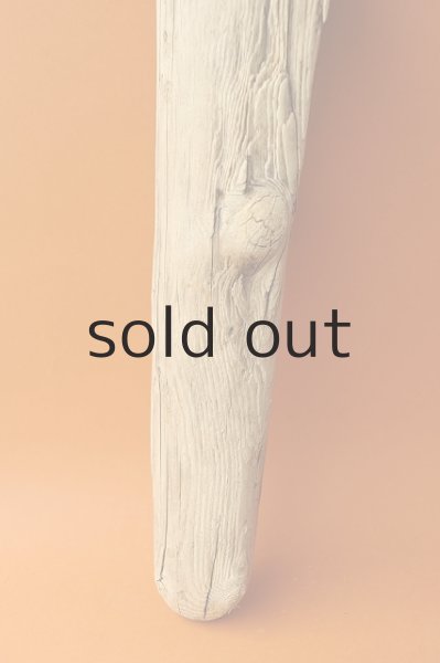 画像2: 幹流木 (2)