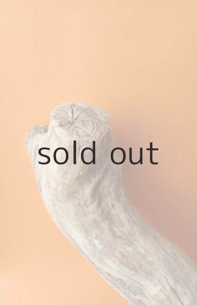 画像4: 大型 変形 (4)