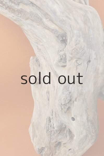 画像2: 大型 変形 (2)