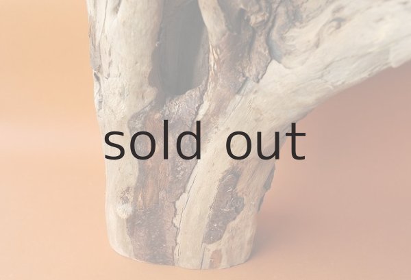 画像3: 大型 根 (3)