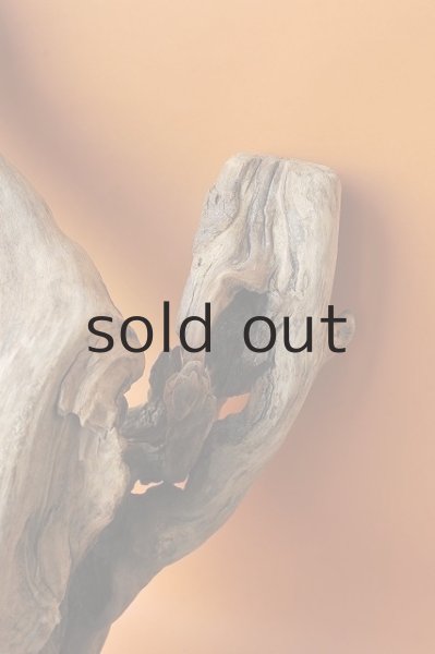 画像3: 大型 変形 (3)