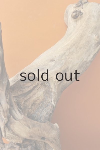 画像5: 大型 変形 (5)