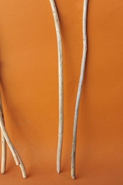 画像3: 棒流木セット (3)