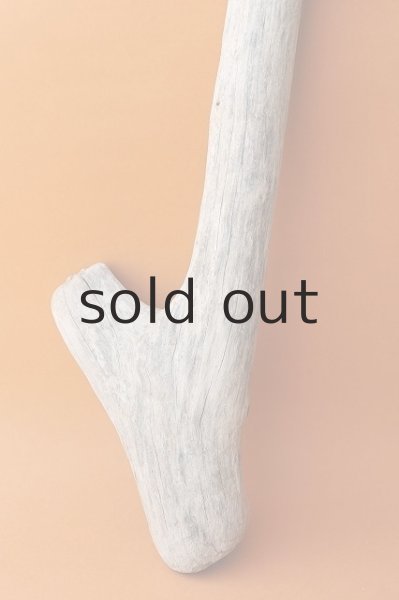 画像2: 幹流木 (2)