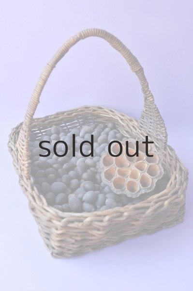 画像3: Dry plants for decor デコール用シードボトル(150g入) (3)