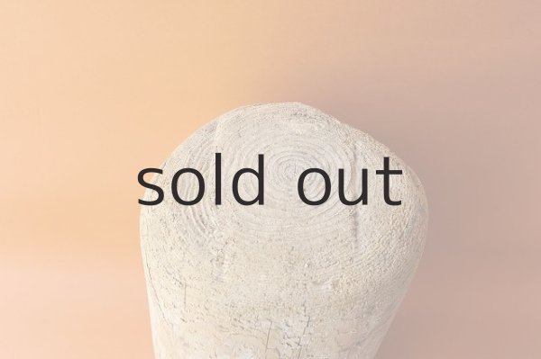 画像2: 幹流木・丸太 (2)