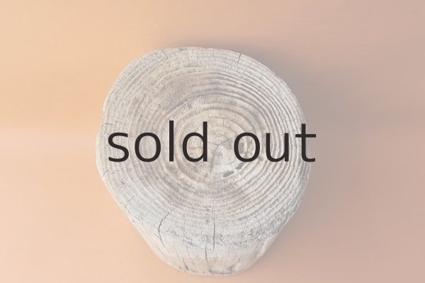 画像3: 幹流木・丸太 (3)