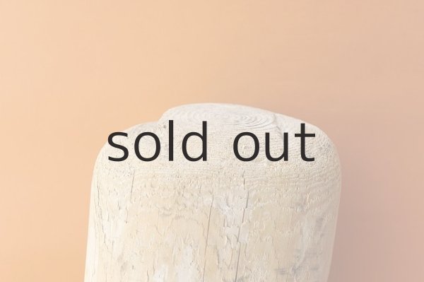 画像3: 幹流木・丸太 (3)