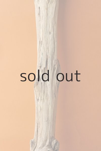 画像3: 幹流木 (3)