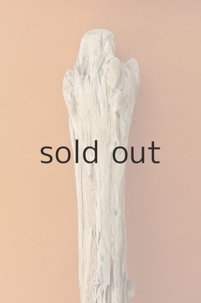 画像4: 幹流木 (4)