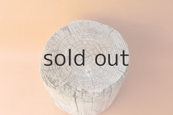 画像2: 幹流木・丸太 (2)