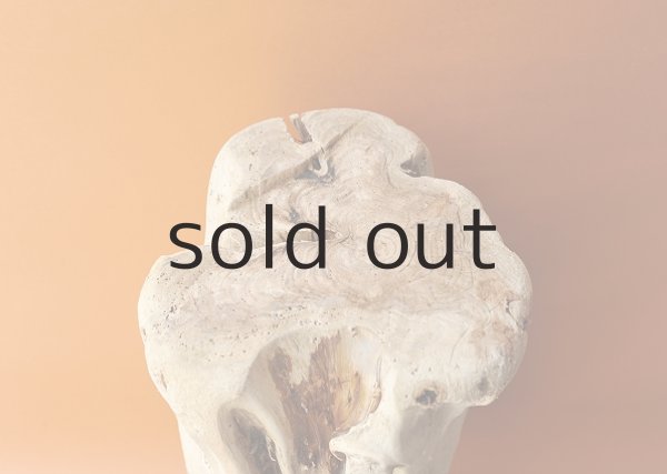 画像2: 大型 幹 (2)