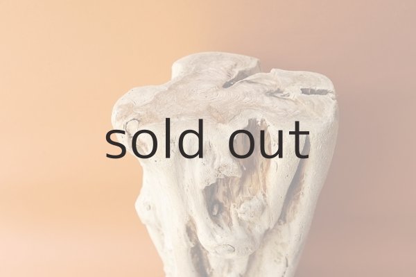 画像3: 大型 幹 (3)