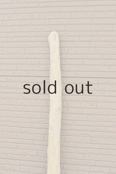 画像4: 幹流木 (4)